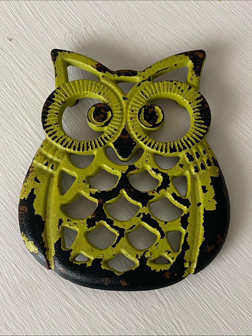 Cast Iron Owl Hot Pot Holder in Lime Green